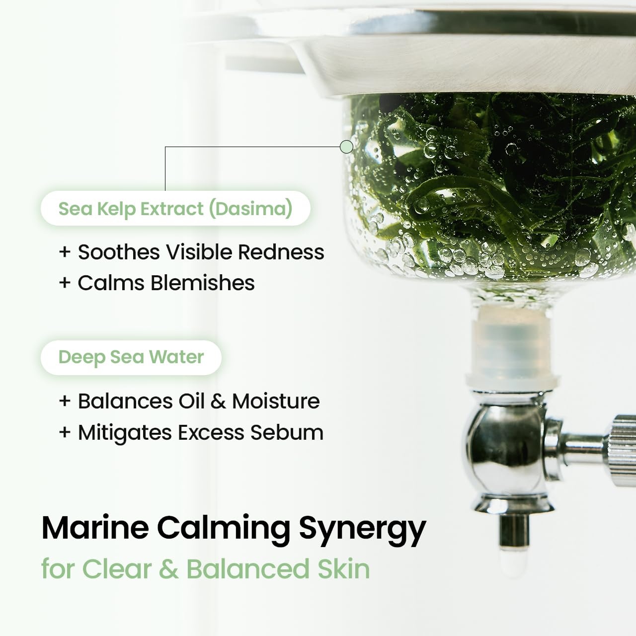 image:imageBIODANCE BioCollagen Real Deep Mask Hydrating Overnight Hydrogel Face Mask Pore Minimizing Elasticity Plumping Travel Essentials amp Self Care Gifts for Women Korean Skin Care 119oz34g x 4eaSea Kelp