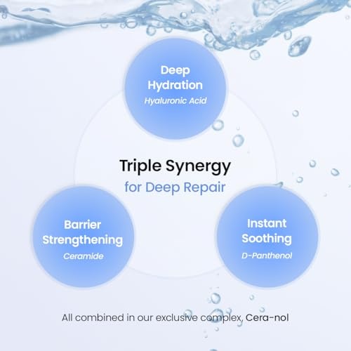 image:imageBIODANCE Ceranol Day amp Night Gel Duo Ceramide Panthenol Mask amp Gel Toner Pads Set Korean Skincare Set for Moisturizing Hydrating Soothing Korean Skin Care Skin Care Routine Set