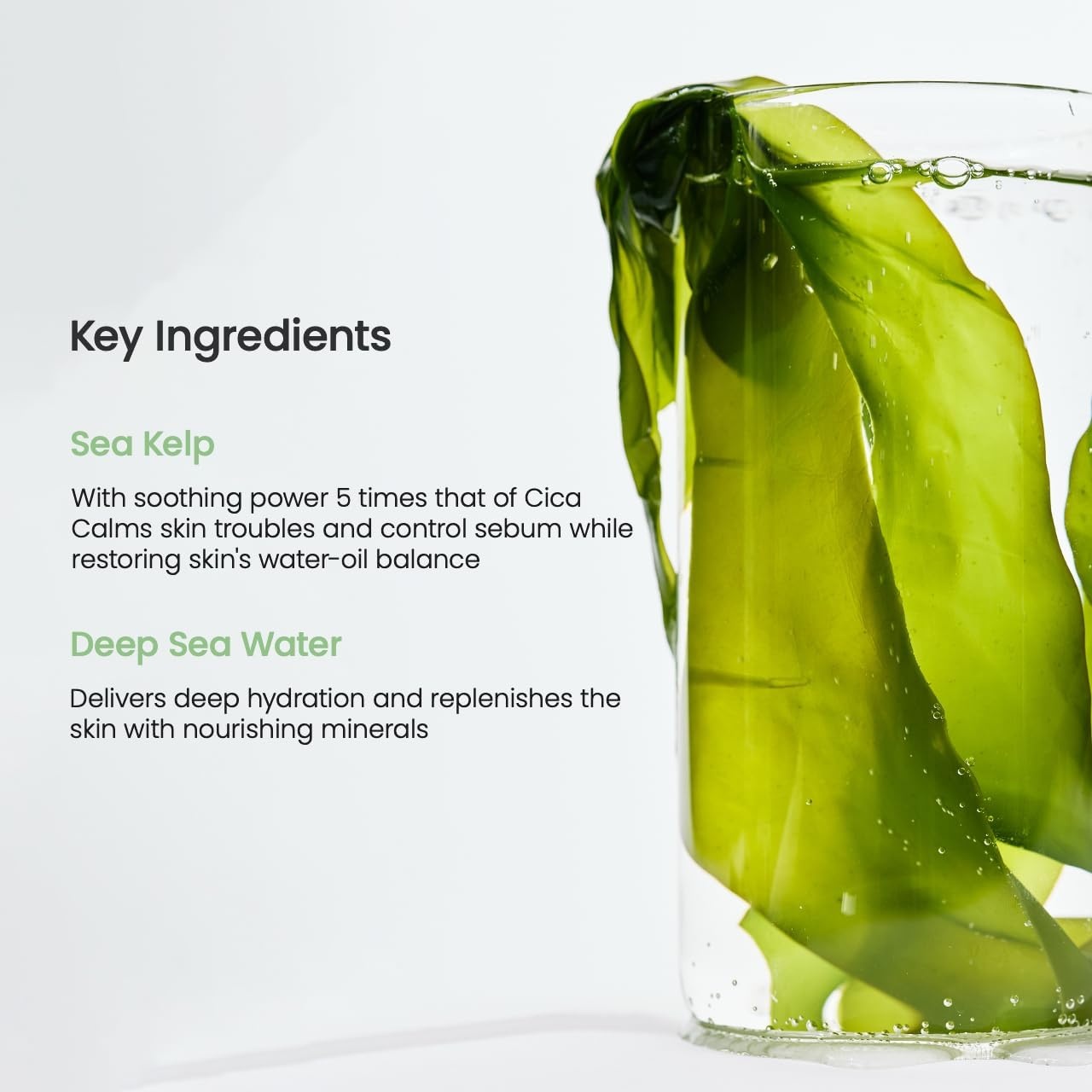 image:imageBIODANCE Sea Kelp Day amp Night Gel Duo Sea Kelp Mask amp Toner Pads Set Calming Soothing Oil Sebum Control for Sensitive Oily Skin Korean Skin Care Skin Care Set